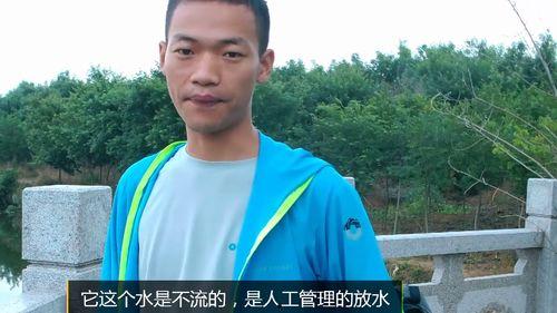 钓鱼视频野钓农村野河,捕捉自然之美，体验野钓乐趣