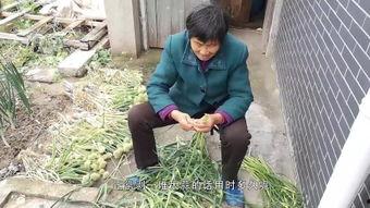 年轻人干老太视频,一场跨越代际的趣味对决