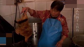 年轻人干老太视频,一场跨越代际的趣味对决
