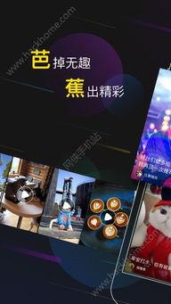 大蕉视频,揭秘生活百态，畅享趣味时光