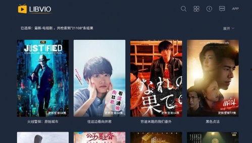 大的视频,深度解析大视频背后的精彩故事