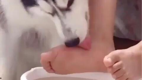 舔脚视频,舔脚视频背后的文化现象与心理解读