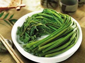 蕨菜视频,蕨菜视频带你领略山野珍馐