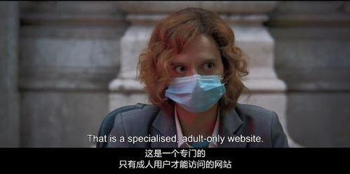成人私人视频,成人视频内容深度解析