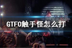 触手视频,探索虚拟互动的无限可能