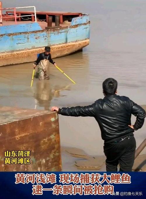 最新电鱼视频,揭秘电鱼视频背后的惊人真相