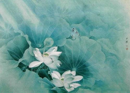 初学国画荷花画法视频,跟随视频轻松掌握画荷技巧
