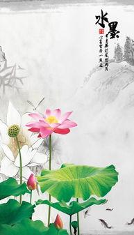 初学国画荷花画法视频,跟随视频轻松掌握画荷技巧