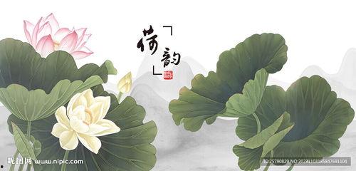 初学国画荷花画法视频,跟随视频轻松掌握画荷技巧