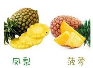 凤梨视频,揭秘短视频新潮流
