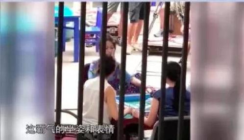 打牌的视频,一局精彩绝伦的打牌对决