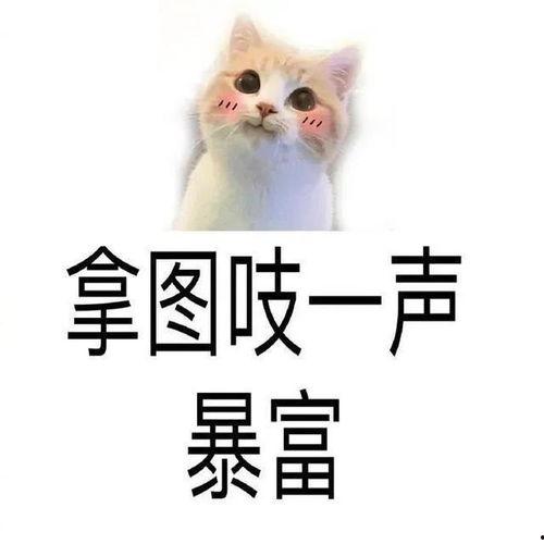 暴富视频,揭秘短视频时代的财富奇迹