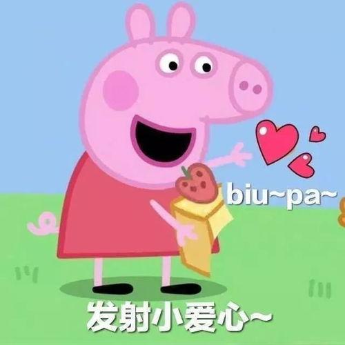 佩奇wwe3q视频,精彩对决，激情四溢