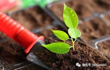 泥土视频,探寻自然之美，感受大地脉搏