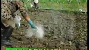 泥土视频,探寻自然之美，感受大地脉搏