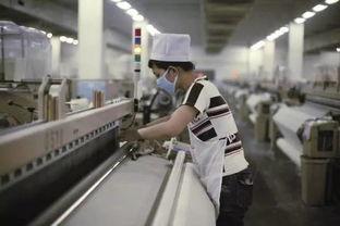纺织视频,视频带你领略纺织魅力
