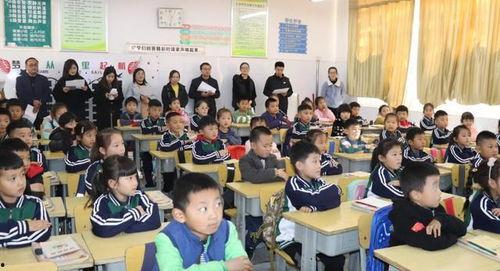 小学生教学视频,趣味盎然的小学生教学视频概览