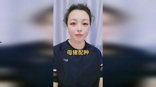 猪交配高清视频,高清视频带你领略繁殖之美