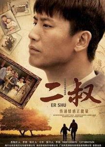 二叔视频,视频背后的故事与启示