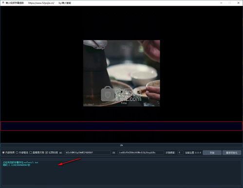 视频提取字幕,字幕背后的故事