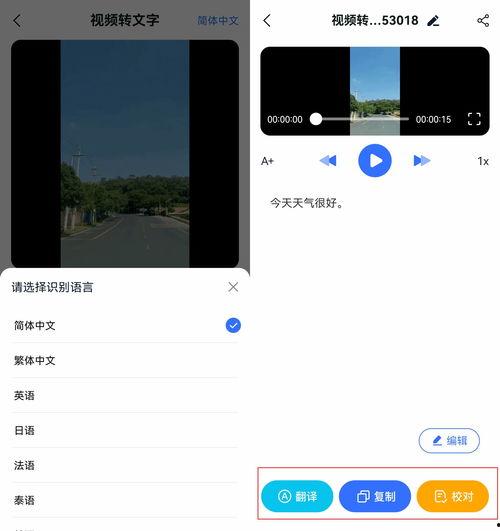 视频提取字幕,字幕背后的故事