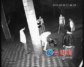 南部县砍人视频,悲剧瞬间引发社会关注