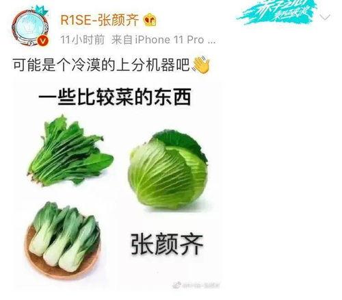 今日热瓜 吃瓜 每日更新下一句,每日吃瓜，揭秘娱乐圈最新动态