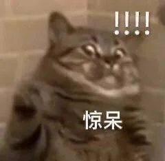 今日吃瓜热心的表情包,笑翻网友朋友圈