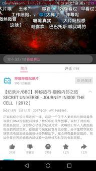 什么视频好看,盘点那些让人眼前一亮的精彩视频