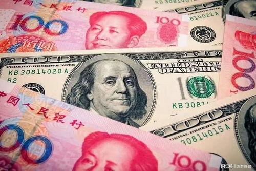 美元视频,揭秘全球金融市场的脉动与未来趋势