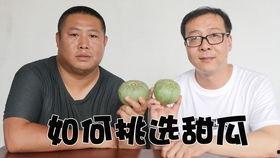黑哥吃瓜,揭秘娱乐圈幕后真相