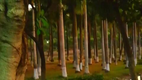 风景小视频,风景小视频中的视觉盛宴