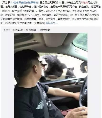 熊咬人视频全过程视频,全程视频揭秘野生动物的凶猛与人类的惊险遭遇