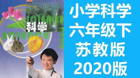 六年级视频,视频回顾