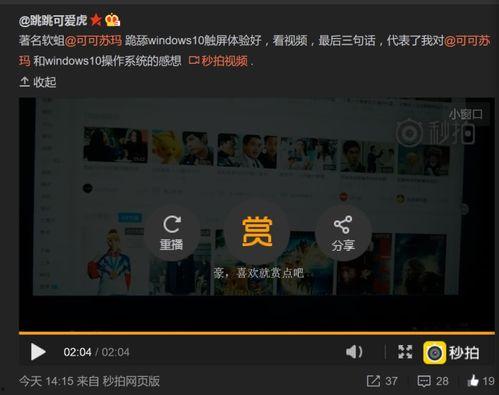 回复视频,一窥科技与生活的奇妙融合