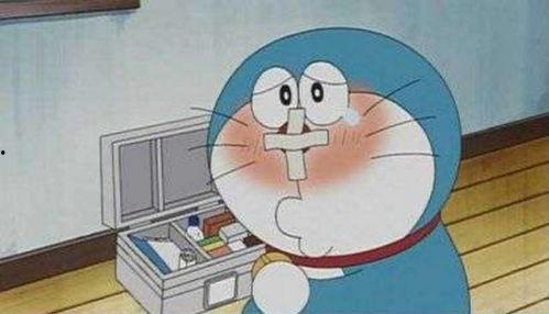 free哆拍拍免费视频,畅享无限娱乐盛宴