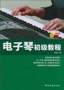 初步学电子琴教程视频,电子琴入门教程视频精华概述