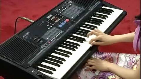 初步学电子琴教程视频,电子琴入门教程视频精华概述