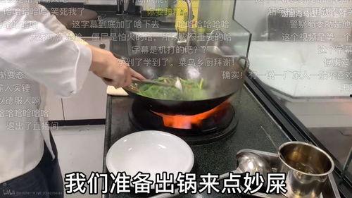 做菜视频,跟随视频教程轻松学会美味佳肴