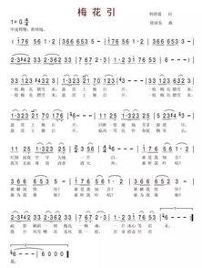 梅花引视频,穿越时空的美丽旋律