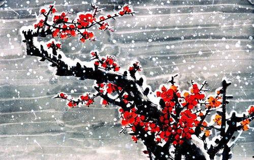 梅花引视频,穿越时空的美丽旋律