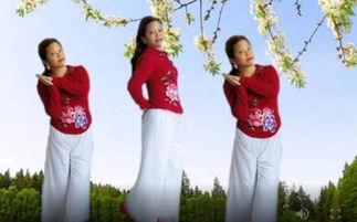 广场舞给我一个吻视频,一吻定情，舞动心弦