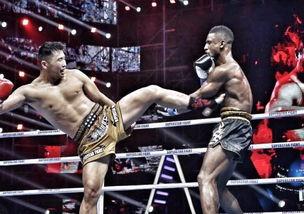 泰拳视频,从视频中学到的精华