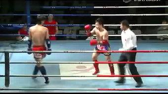 泰拳视频,从视频中学到的精华