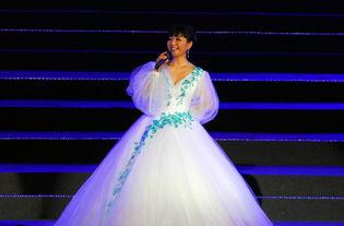 殷秀梅演唱会视频,激情演绎，歌声传颂经典