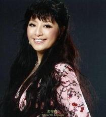 殷秀梅演唱会视频,激情演绎，歌声传颂经典