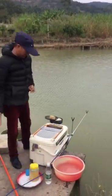 台钓视频,跟随视频学习高效钓鱼方法