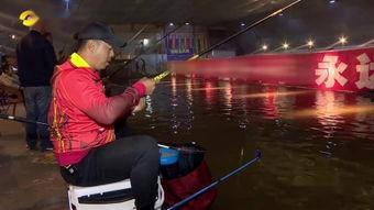 台钓视频,跟随视频学习高效钓鱼方法