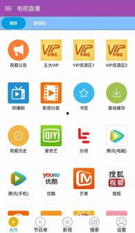 无需播放器的成年视频,深度解析其背后的故事与影响