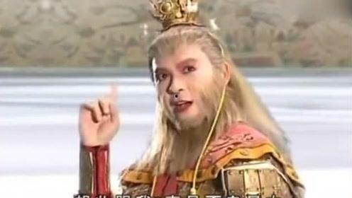 猿猴视频,探索动物世界的趣味与智慧